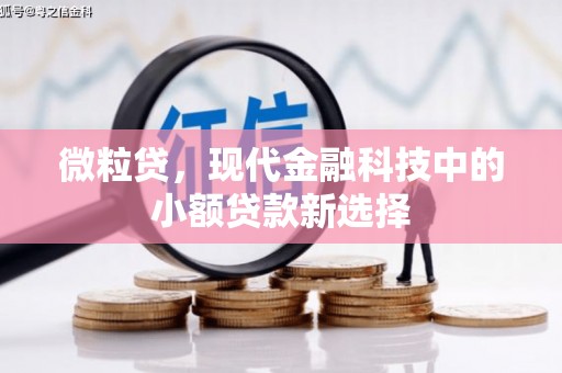 桐乡微粒贷，现代金融科技中的小额贷款新选择