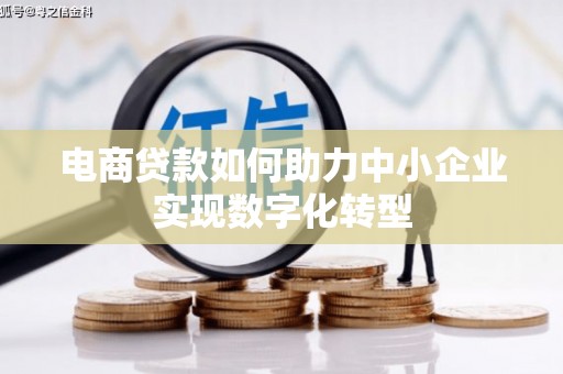 桐乡电商贷款如何助力中小企业实现数字化转型