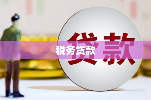 桐乡税务贷款