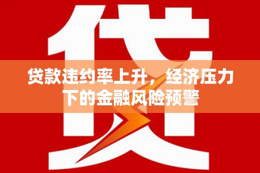 桐乡贷款违约率上升，经济压力下的金融风险预警