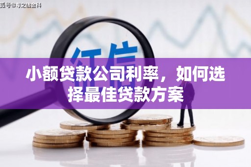 桐乡小额贷款公司利率，如何选择最佳贷款方案
