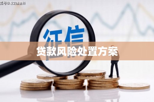 桐乡贷款风险处置方案