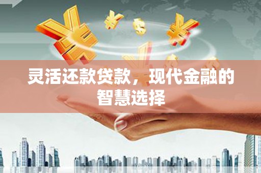 桐乡灵活还款贷款，现代金融的智慧选择