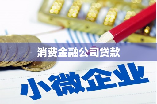 桐乡消费金融公司贷款