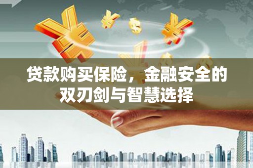 桐乡贷款购买保险，金融安全的双刃剑与智慧选择