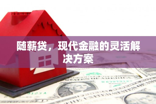 桐乡随薪贷，现代金融的灵活解决方案