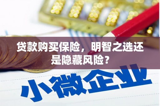 桐乡贷款购买保险，明智之选还是隐藏风险？