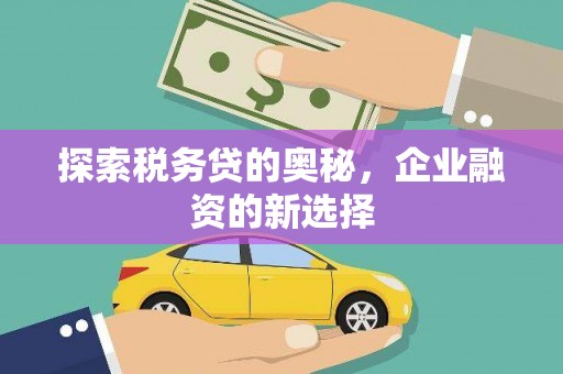 桐乡探索税务贷的奥秘，企业融资的新选择