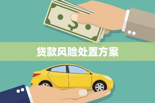 桐乡贷款风险处置方案