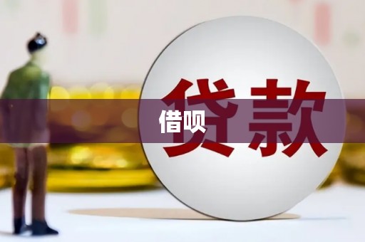 桐乡借呗