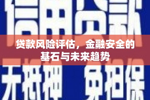 桐乡贷款风险评估，金融安全的基石与未来趋势