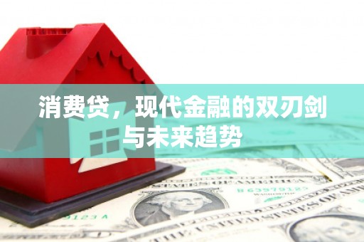 桐乡消费贷，现代金融的双刃剑与未来趋势