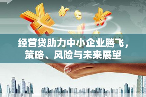 桐乡经营贷助力中小企业腾飞，策略、风险与未来展望
