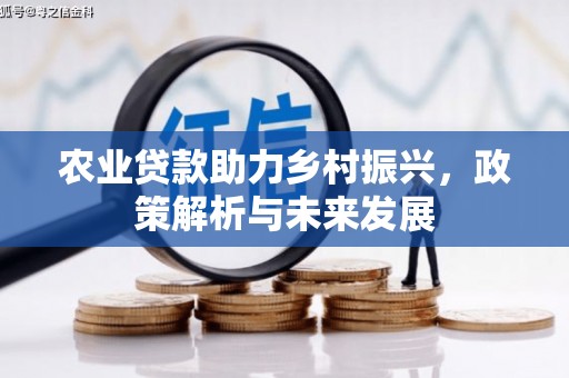 桐乡农业贷款助力乡村振兴，政策解析与未来发展