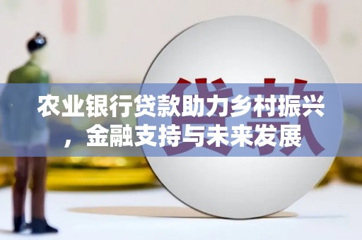 桐乡农业银行贷款助力乡村振兴，金融支持与未来发展