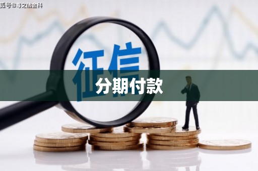 桐乡分期付款