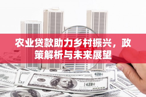 桐乡农业贷款助力乡村振兴，政策解析与未来展望