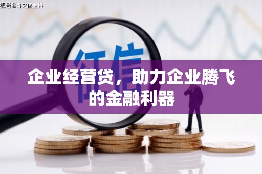 桐乡企业经营贷，助力企业腾飞的金融利器