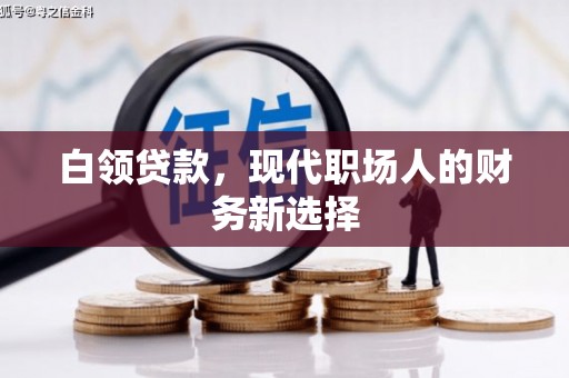 桐乡白领贷款，现代职场人的财务新选择