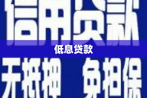 桐乡低息贷款