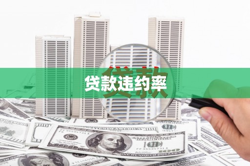 桐乡贷款违约率
