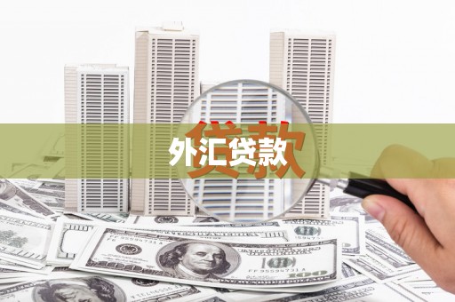 桐乡外汇贷款