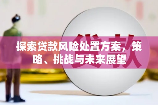 桐乡探索贷款风险处置方案，策略、挑战与未来展望