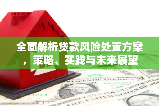桐乡全面解析贷款风险处置方案，策略、实践与未来展望