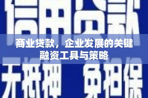 桐乡商业贷款，企业发展的关键融资工具与策略