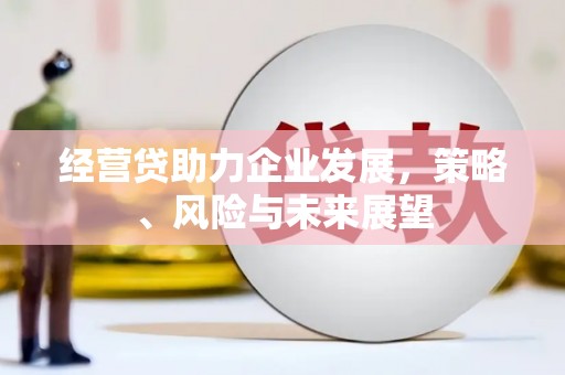 桐乡经营贷助力企业发展，策略、风险与未来展望