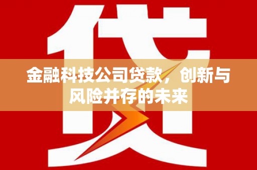 桐乡金融科技公司贷款，创新与风险并存的未来