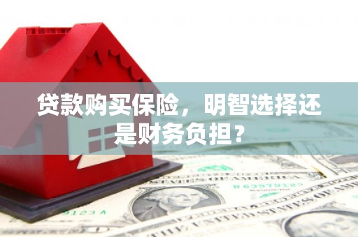 桐乡贷款购买保险，明智选择还是财务负担？
