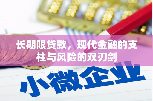 桐乡长期限贷款，现代金融的支柱与风险的双刃剑