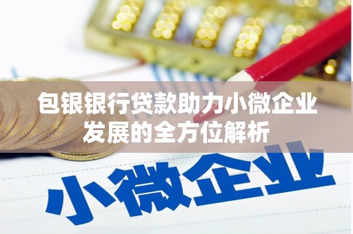 桐乡包银银行贷款助力小微企业发展的全方位解析