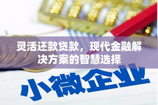桐乡灵活还款贷款，现代金融解决方案的智慧选择