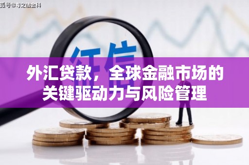 桐乡外汇贷款，全球金融市场的关键驱动力与风险管理
