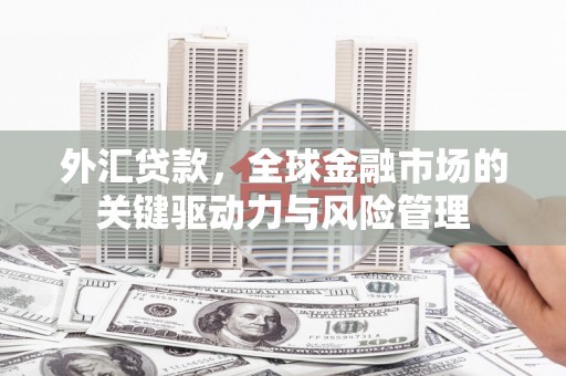 桐乡外汇贷款，全球金融市场的关键驱动力与风险管理