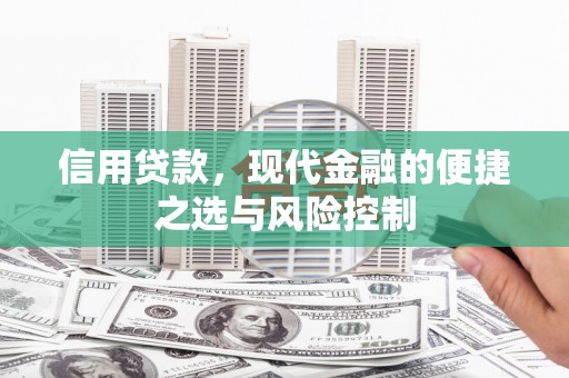 桐乡信用贷款，现代金融的便捷之选与风险控制