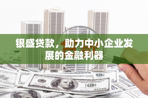 桐乡银盛贷款，助力中小企业发展的金融利器
