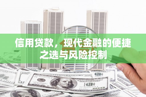 桐乡信用贷款，现代金融的便捷之选与风险控制