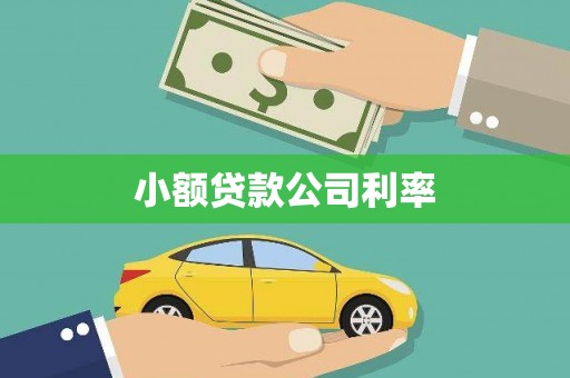 桐乡小额贷款公司利率