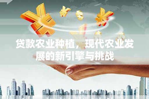 桐乡贷款农业种植，现代农业发展的新引擎与挑战
