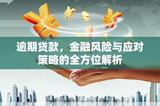 桐乡逾期贷款，金融风险与应对策略的全方位解析