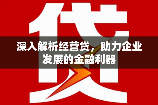 桐乡深入解析经营贷，助力企业发展的金融利器