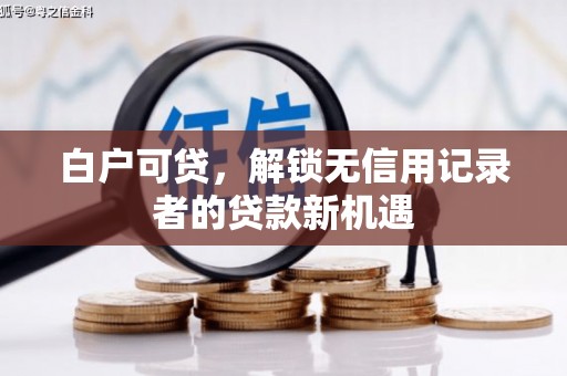 桐乡白户可贷，解锁无信用记录者的贷款新机遇