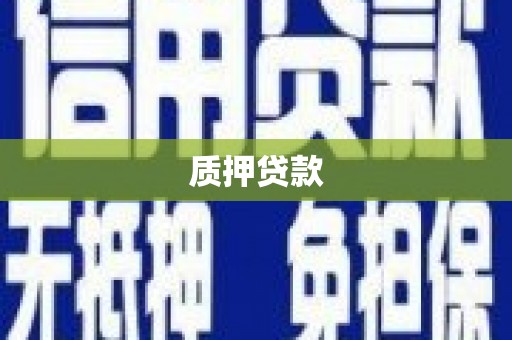 桐乡质押贷款
