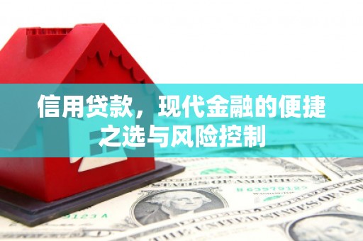 桐乡信用贷款，现代金融的便捷之选与风险控制