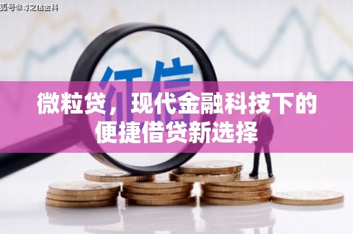 桐乡微粒贷，现代金融科技下的便捷借贷新选择