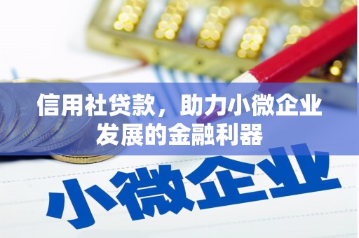 桐乡信用社贷款，助力小微企业发展的金融利器