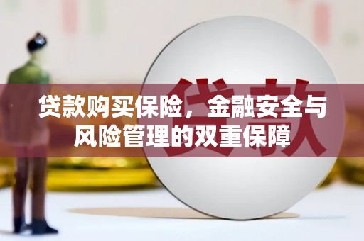 桐乡贷款购买保险，金融安全与风险管理的双重保障